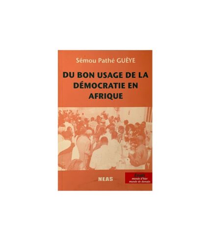 Du bon usage de la democratie en Afrique