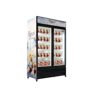 Réfrigérateur Vitrine Professionnel Roch - RSF-700SE-O