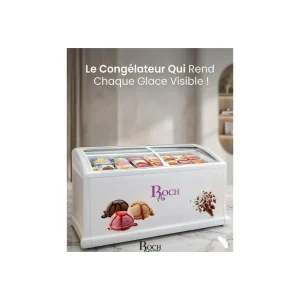 Congélateur Vitrine Roch RIS-700-D