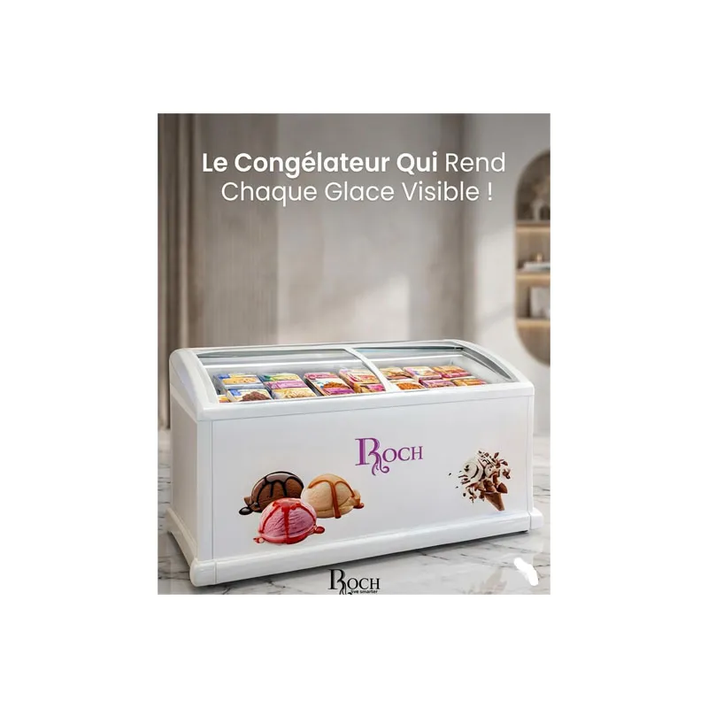 Congélateur Vitrine Roch RIS-700-D