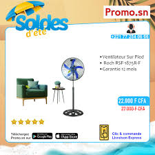 Ventilateur sur Pied RSF-1822-F (18")